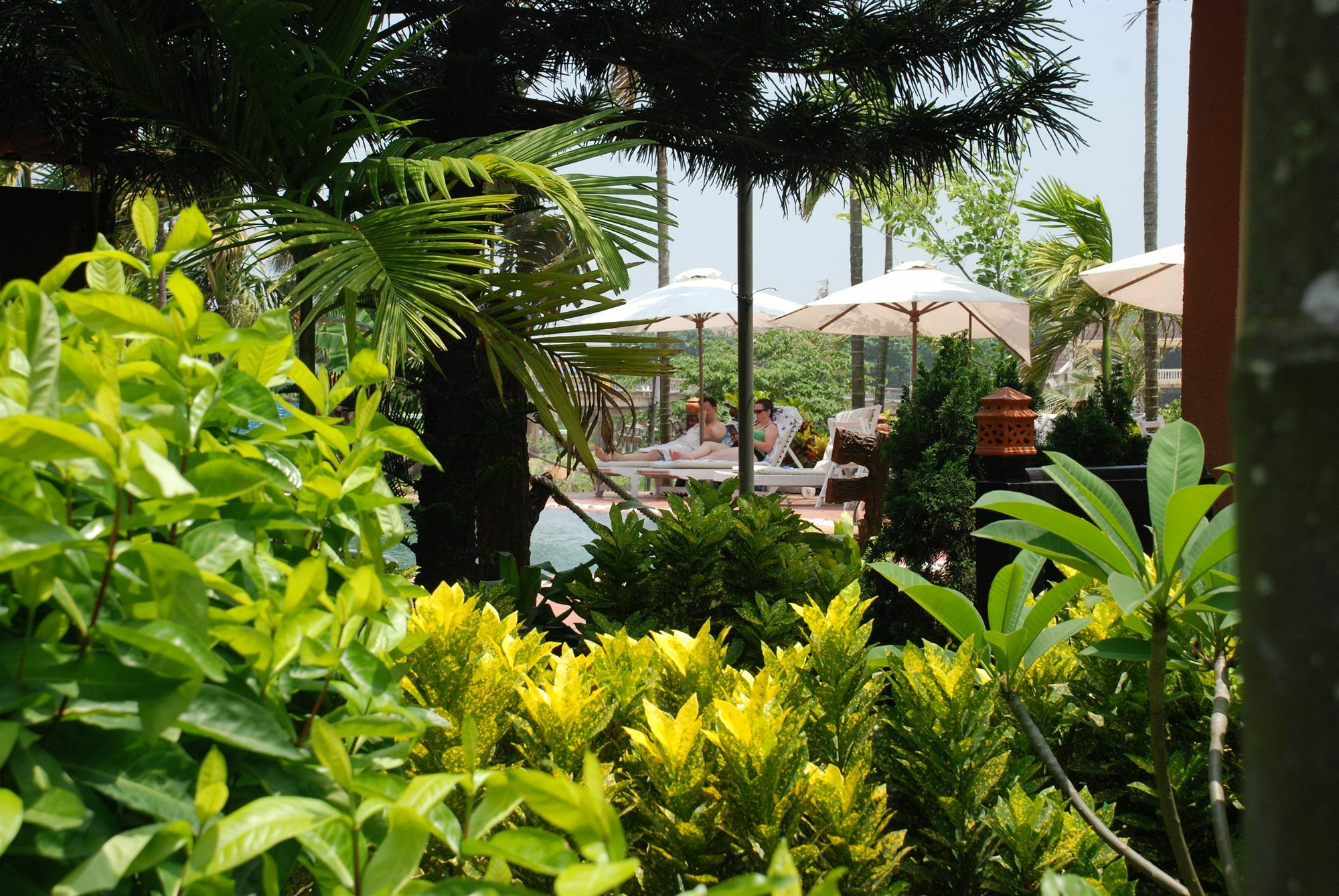 Pho Hoi Riverside Resort Hoi An Exterior photo